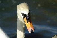 10001423_10152227334771311_1535208397_n