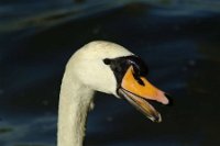 10003299_10152227334901311_1727568160_n