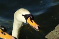 1898279_10152227334681311_1557973000_n