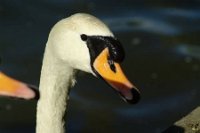 1939903_10152227334851311_1003755450_n