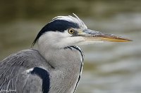 IMG_5634