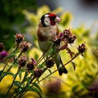 IMG_7323