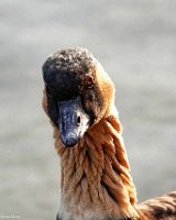 IMG_7327