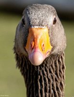 IMG_7328