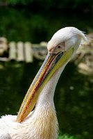 IMG_7341