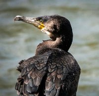 IMG_7342