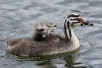 IMG_7345