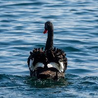 IMG_7348