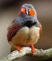 IMG_7353