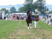 DSCF00622005_01_26_02_19_12