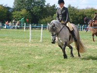 DSCF00922005_01_26_05_04_24