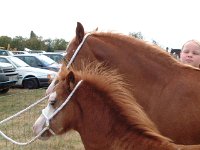 DSCF06782003_08_27_11_42_48