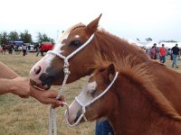 DSCF06792003_08_27_11_43_07