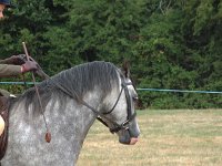 DSCF06852003_08_27_11_48_02