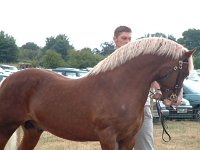 DSCF06932003_08_27_11_54_20