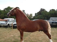 DSCF06952003_08_27_11_55_07