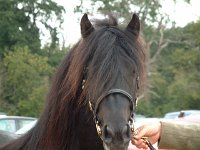 DSCF06972003_08_27_11_57_46