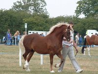 DSCF07032003_08_27_12_03_23