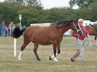 DSCF07042003_08_27_12_03_26