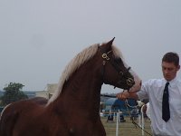 DSCF07062003_08_27_12_04_08