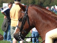 DSCF13952000_06_04_13_38_18