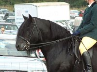 DSCF14562000_06_04_16_40_22