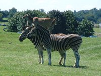 DSCF01362005_01_27_01_59_48